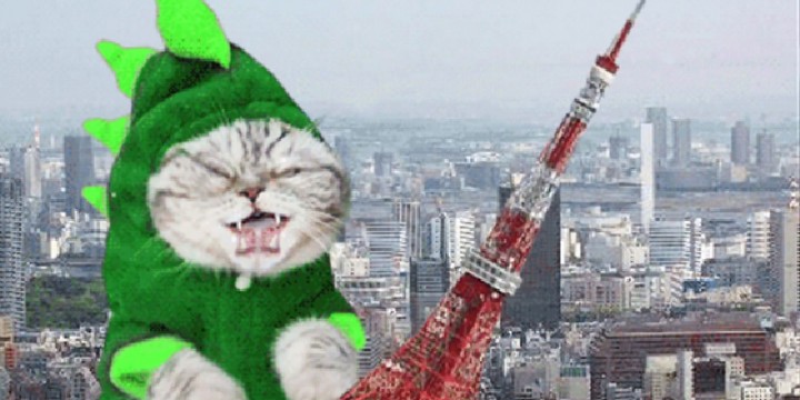 animated-gifs-birth-of-a-medium-pbs1-720x360