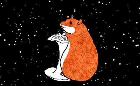 The Impossible hamster