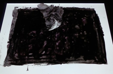 'Mario' feather_lightbox