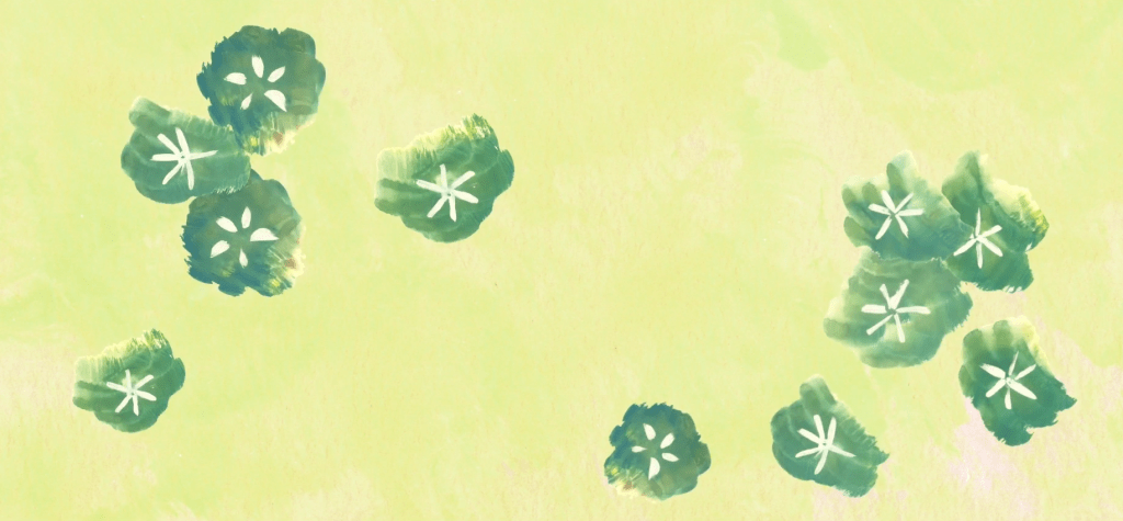 ‘Cambia Tutto’ by Ana&nbsp;Mouyis